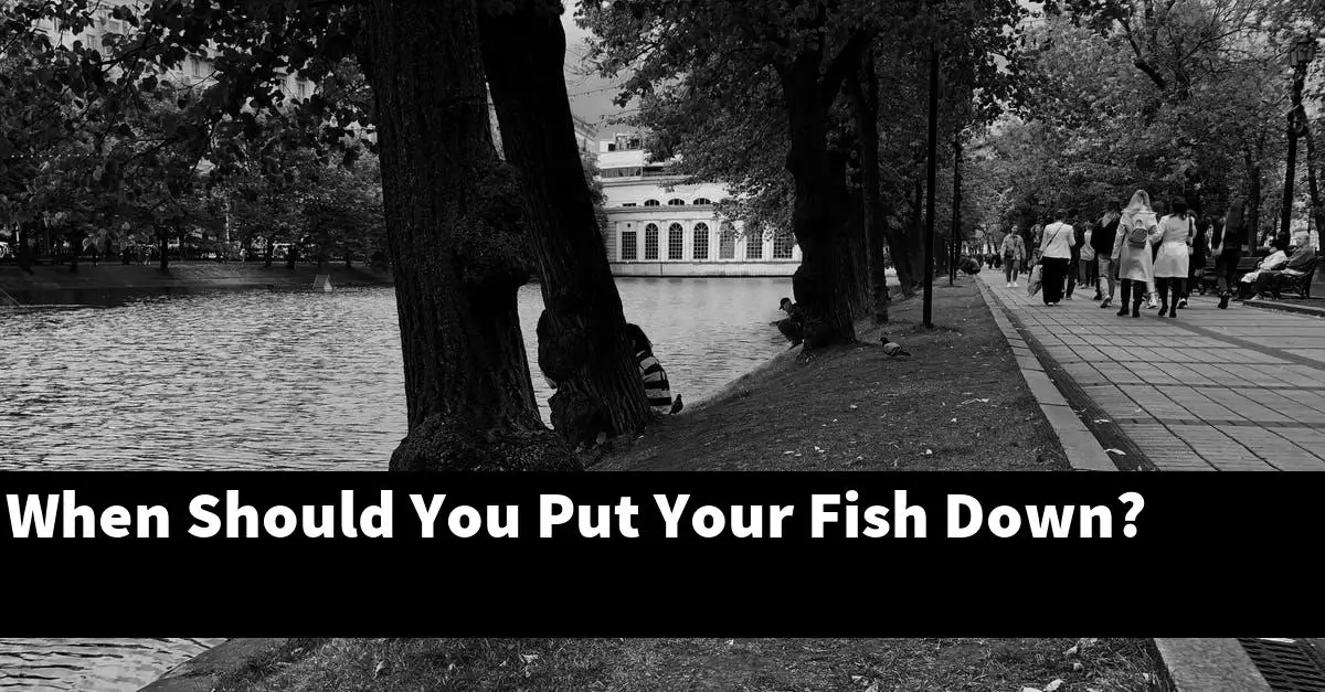 When Should You Put Your Fish Down?