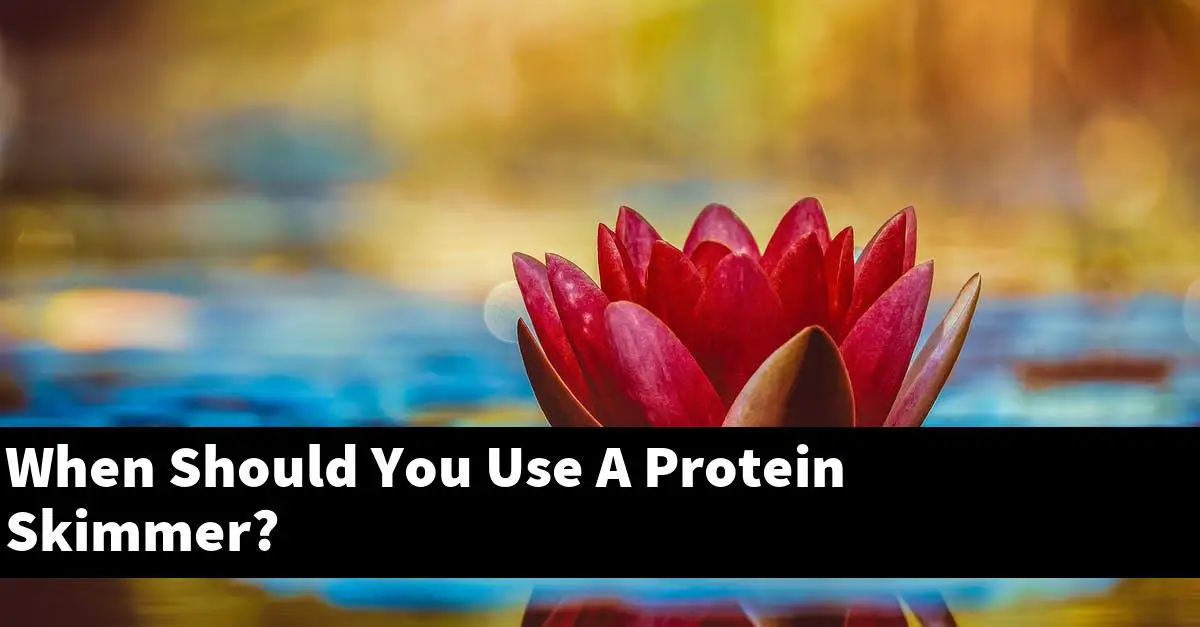 When Should You Use A Protein Skimmer?