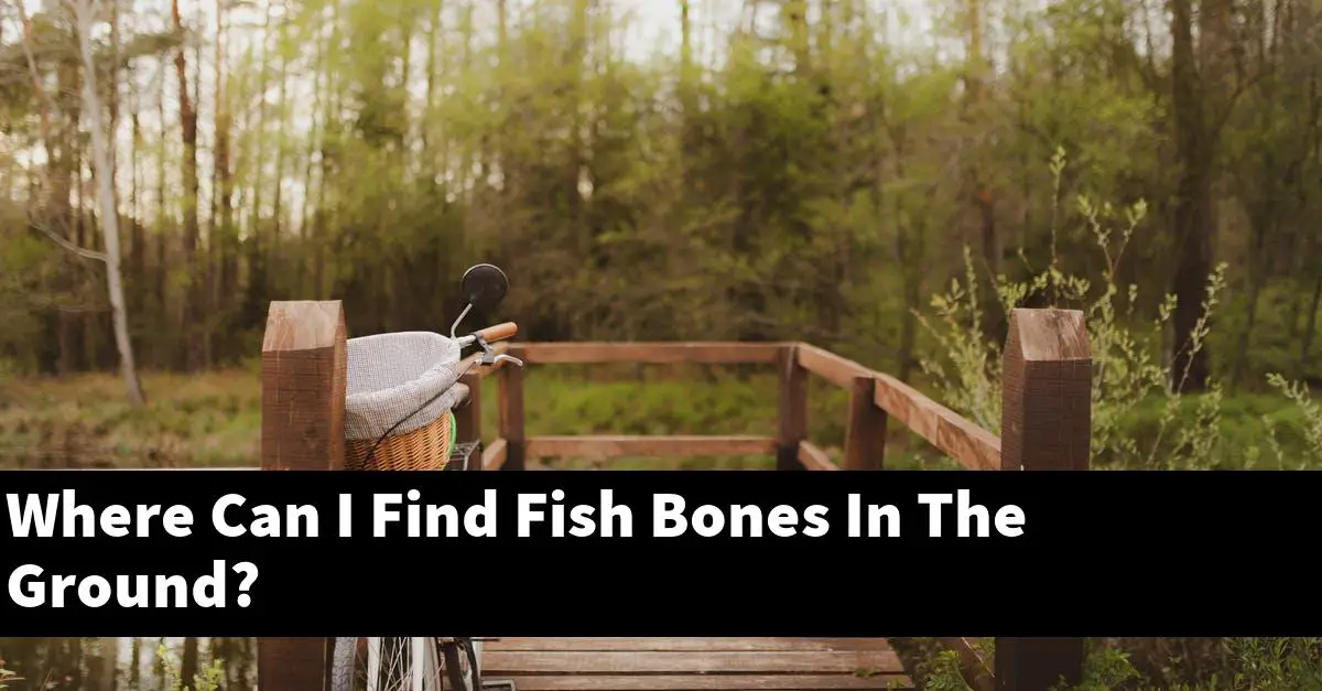 Where Can I Find Fish Bones In The Ground?