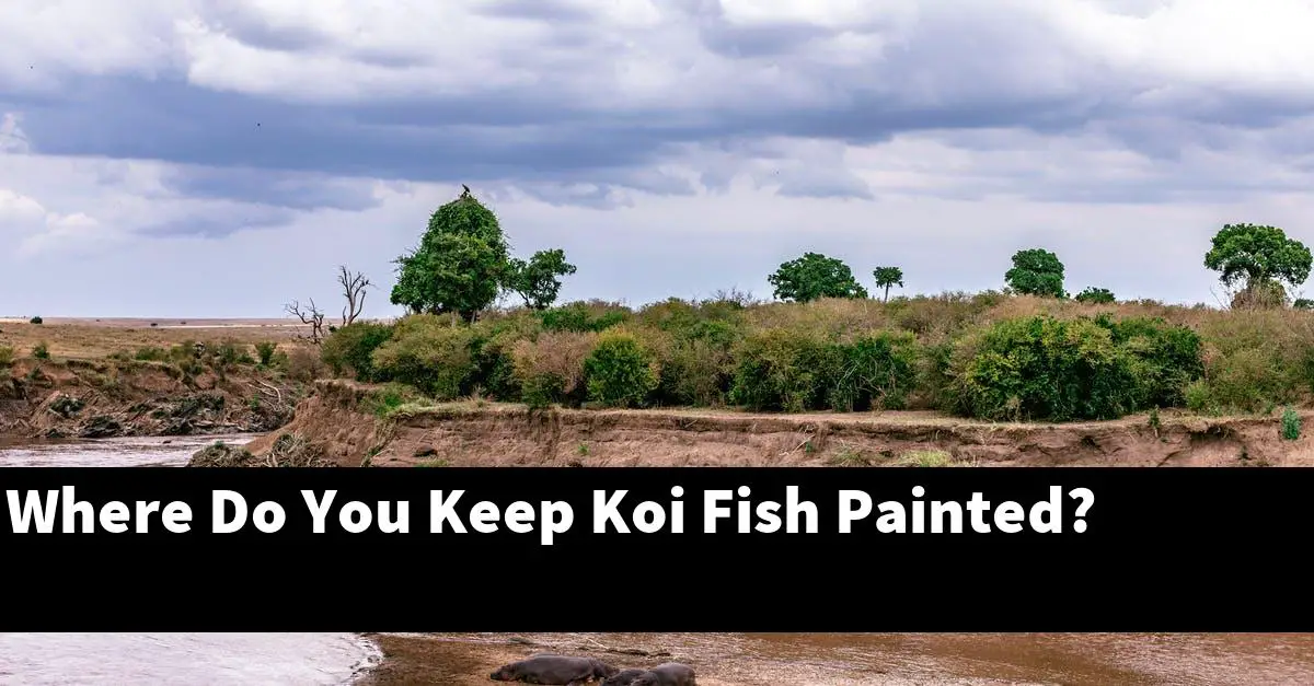 Where Do You Keep Koi Fish Painted?