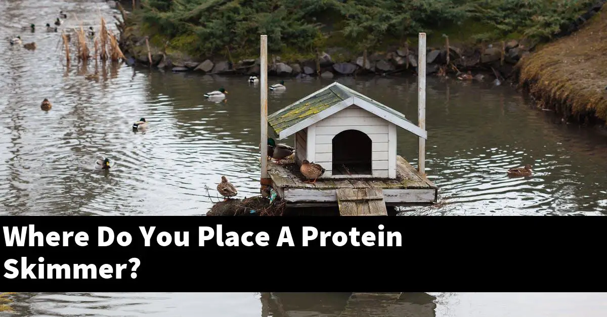 Where Do You Place A Protein Skimmer?