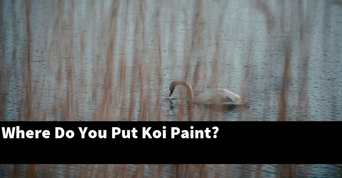 Where Do You Put Koi Paint?