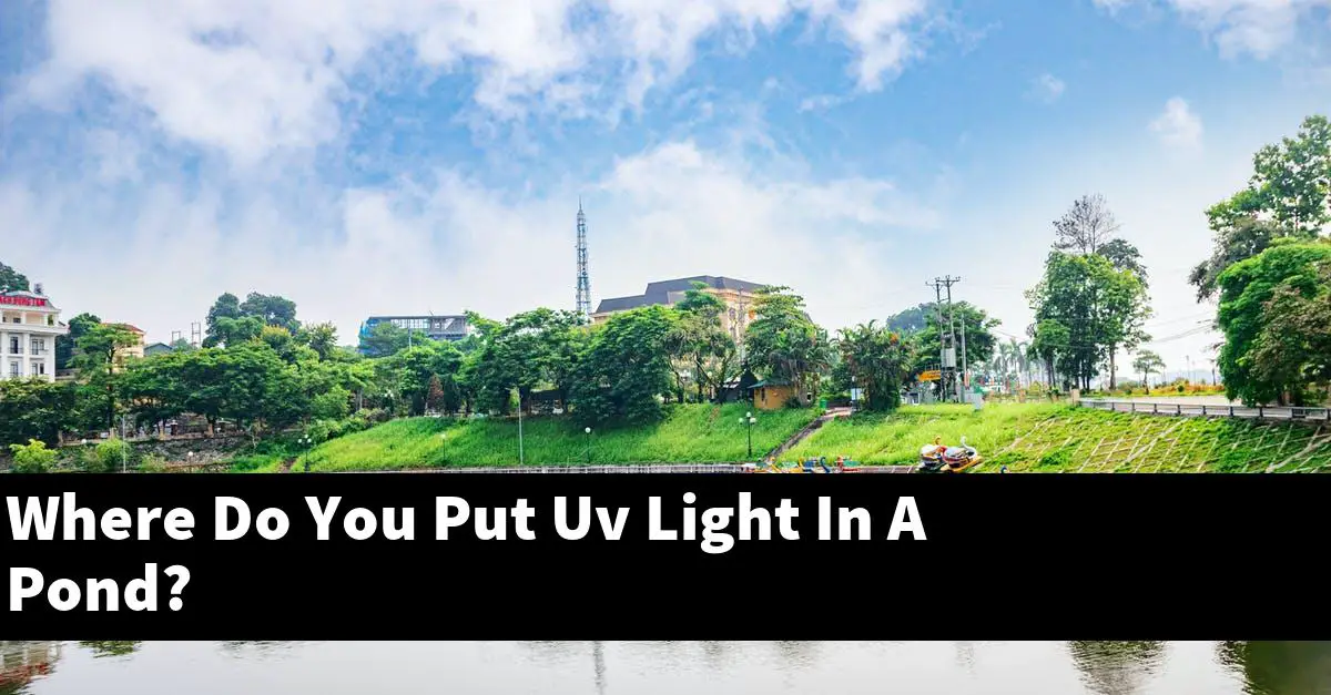 Where Do You Put Uv Light In A Pond?