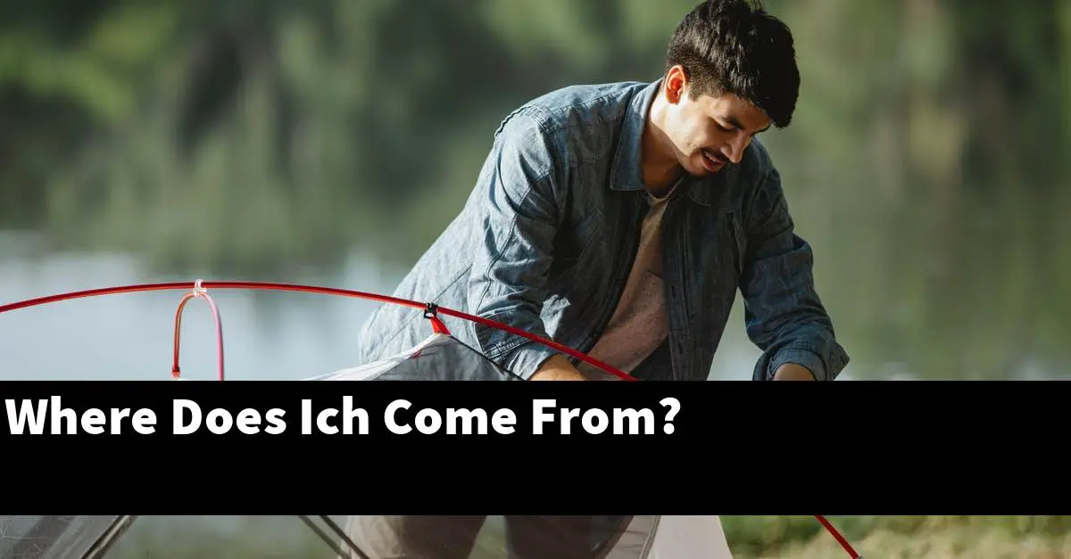 Where Does Ich Come From?