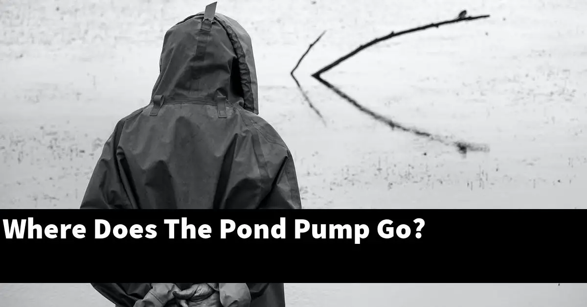 Where Does The Pond Pump Go?