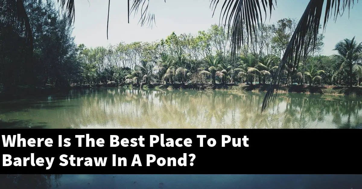 Where Is The Best Place To Put Barley Straw In A Pond?