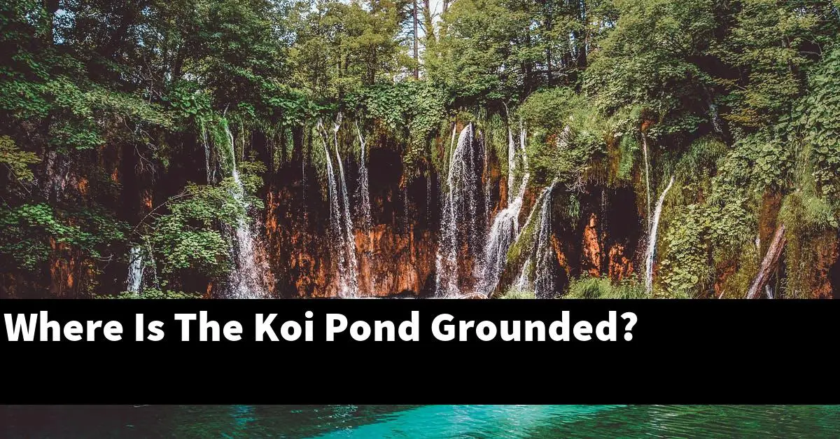 Where Is The Koi Pond Grounded?