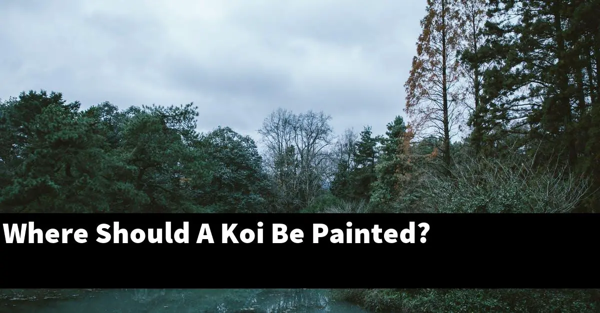 Where Should A Koi Be Painted?
