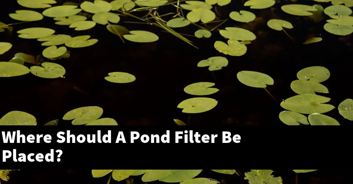 Where Should A Pond Filter Be Placed?