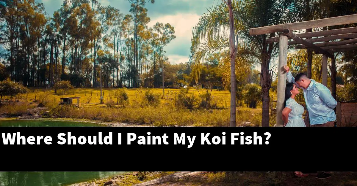 Where Should I Paint My Koi Fish?