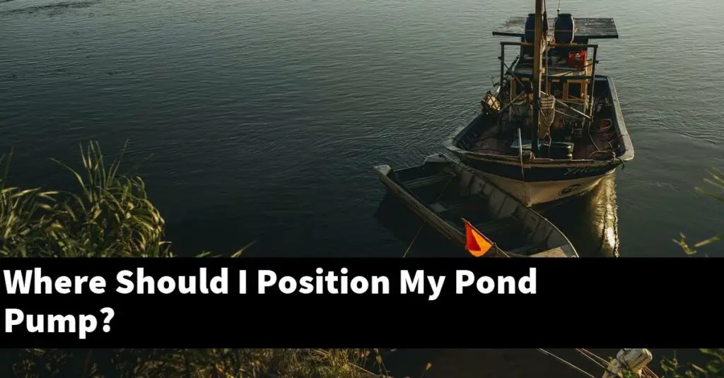 Where Should I Position My Pond Pump? [2024 Guide] Gold Koi Fish