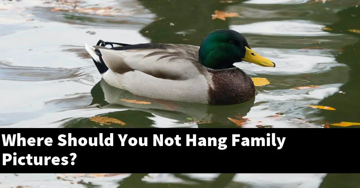 Where Should You Not Hang Family Pictures?