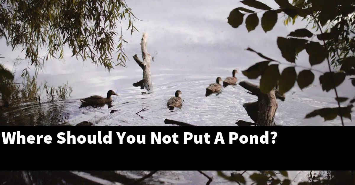 Where Should You Not Put A Pond?