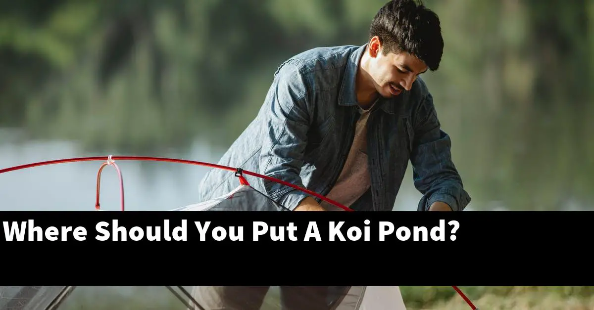 Where Should You Put A Koi Pond?