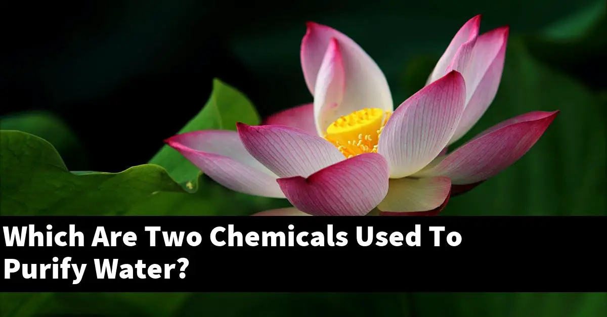 Which Are Two Chemicals Used To Purify Water?