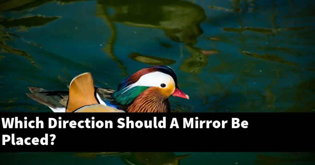 Which Direction Should A Mirror Be Placed? [2024 Guide] Gold Koi Fish