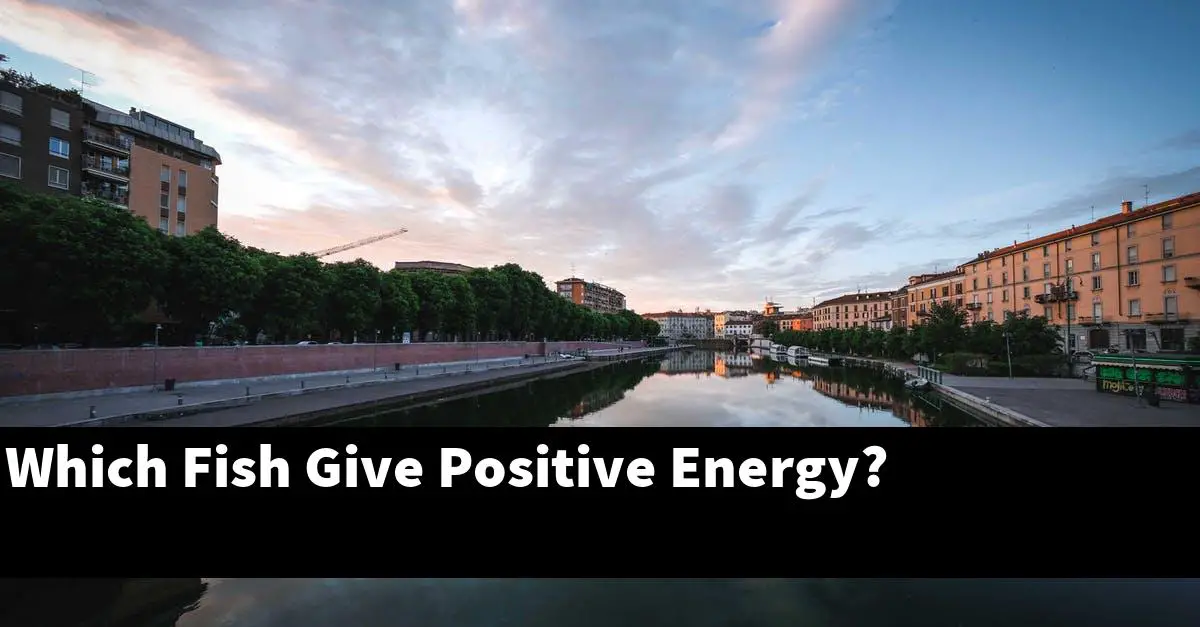 Which Fish Give Positive Energy?