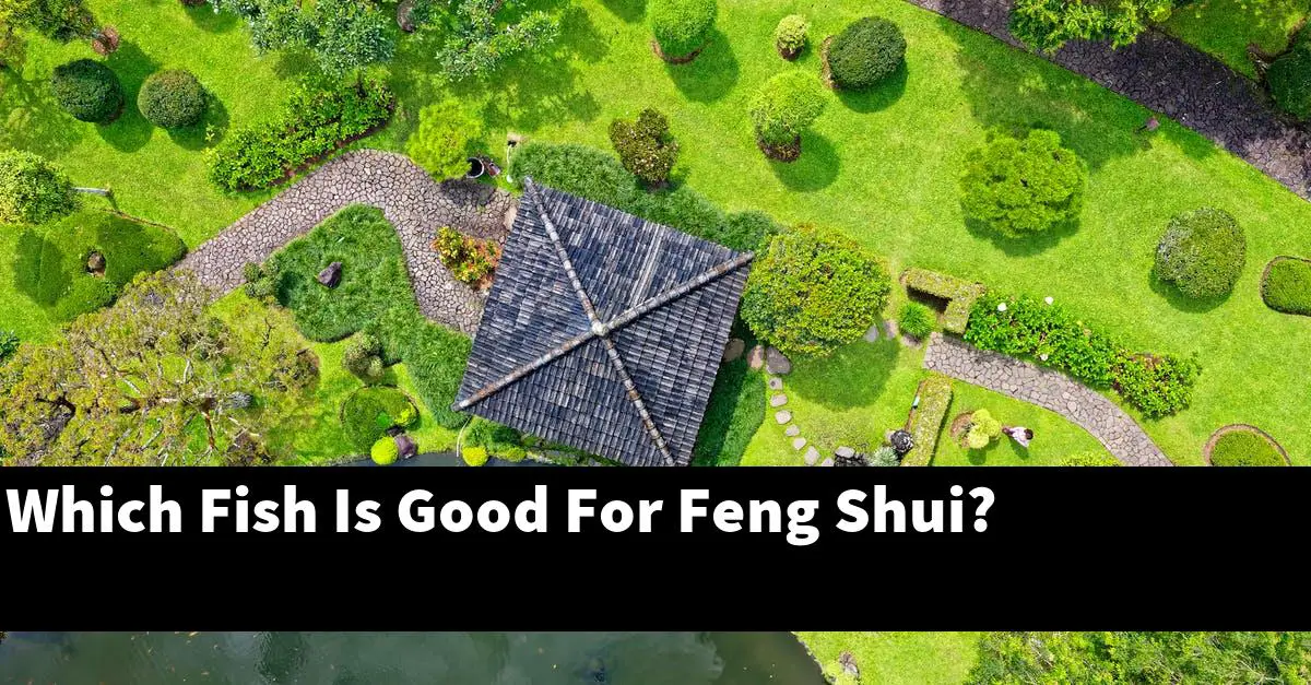 Which Fish Is Good For Feng Shui?