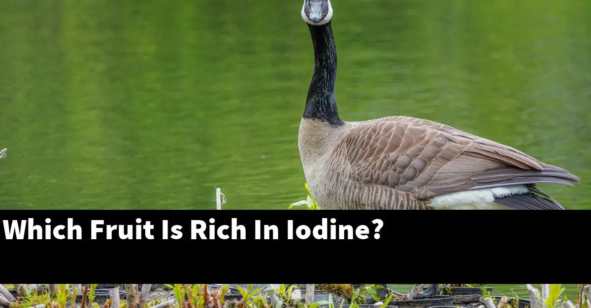 Which Fruit Is Rich In Iodine?