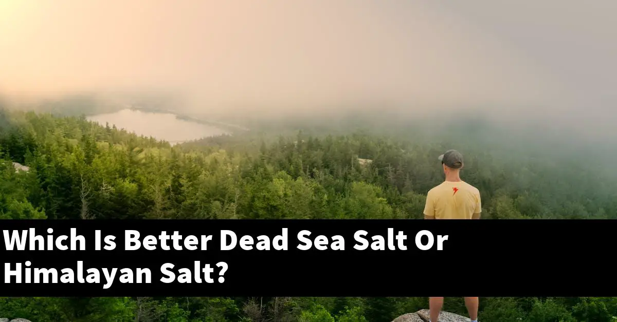 Which Is Better Dead Sea Salt Or Himalayan Salt?