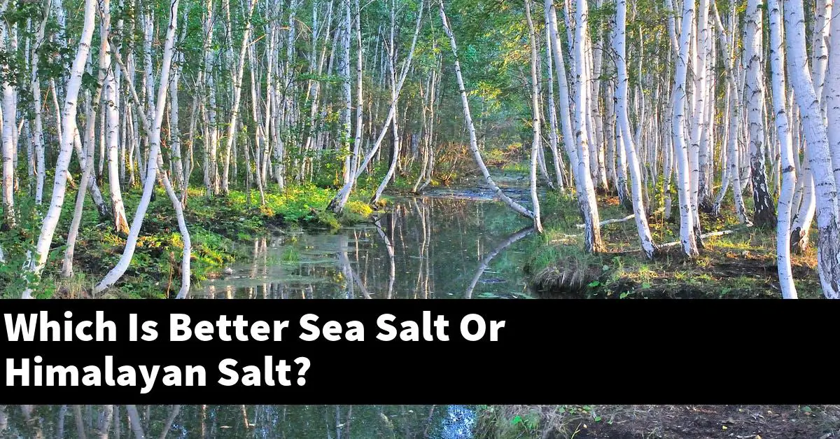 Which Is Better Sea Salt Or Himalayan Salt?