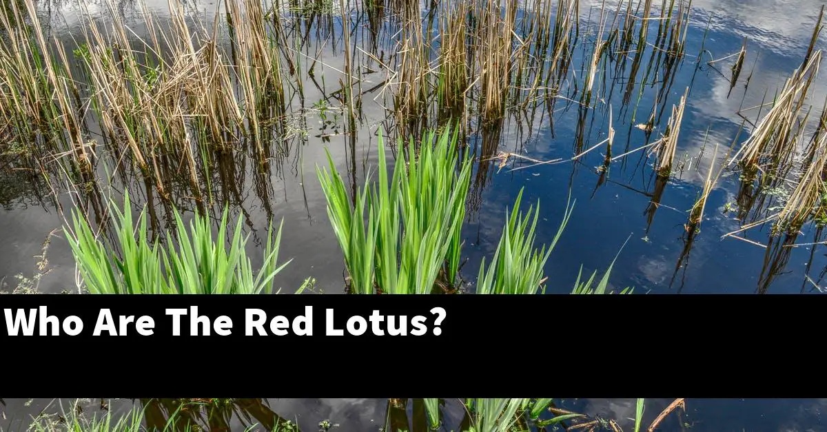 Who Are The Red Lotus?