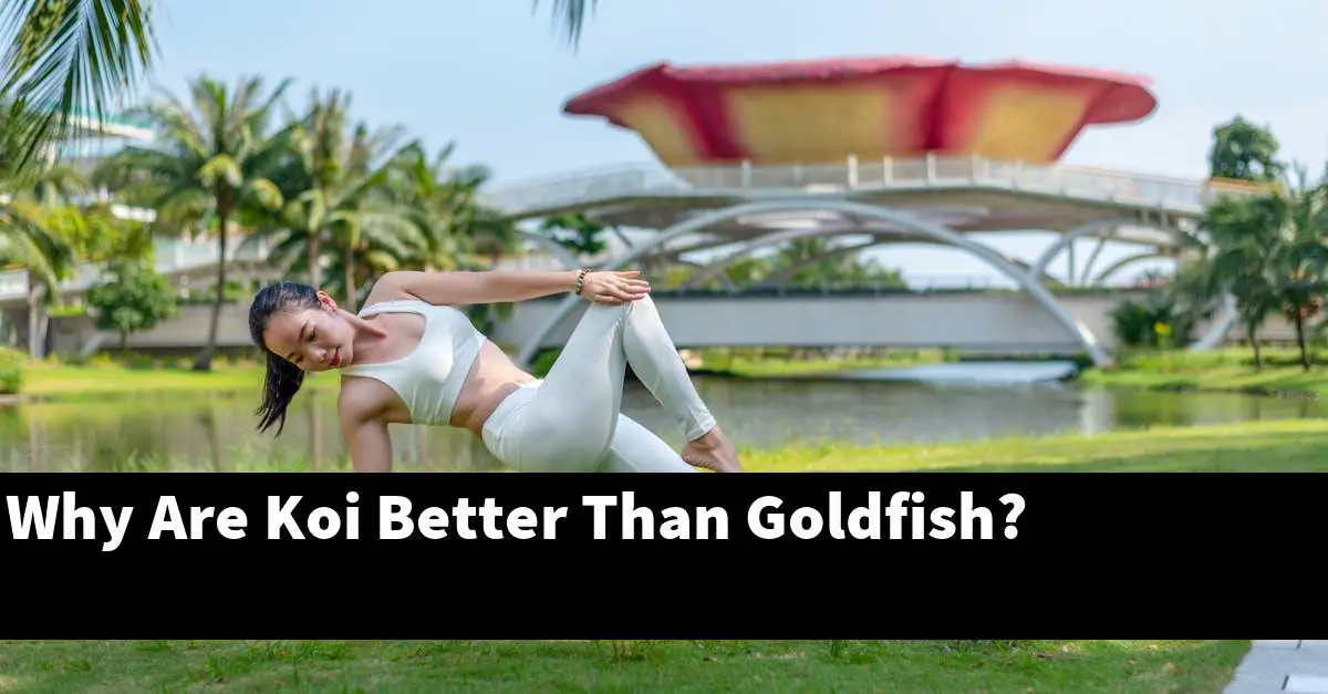 Why Are Koi Better Than Goldfish?