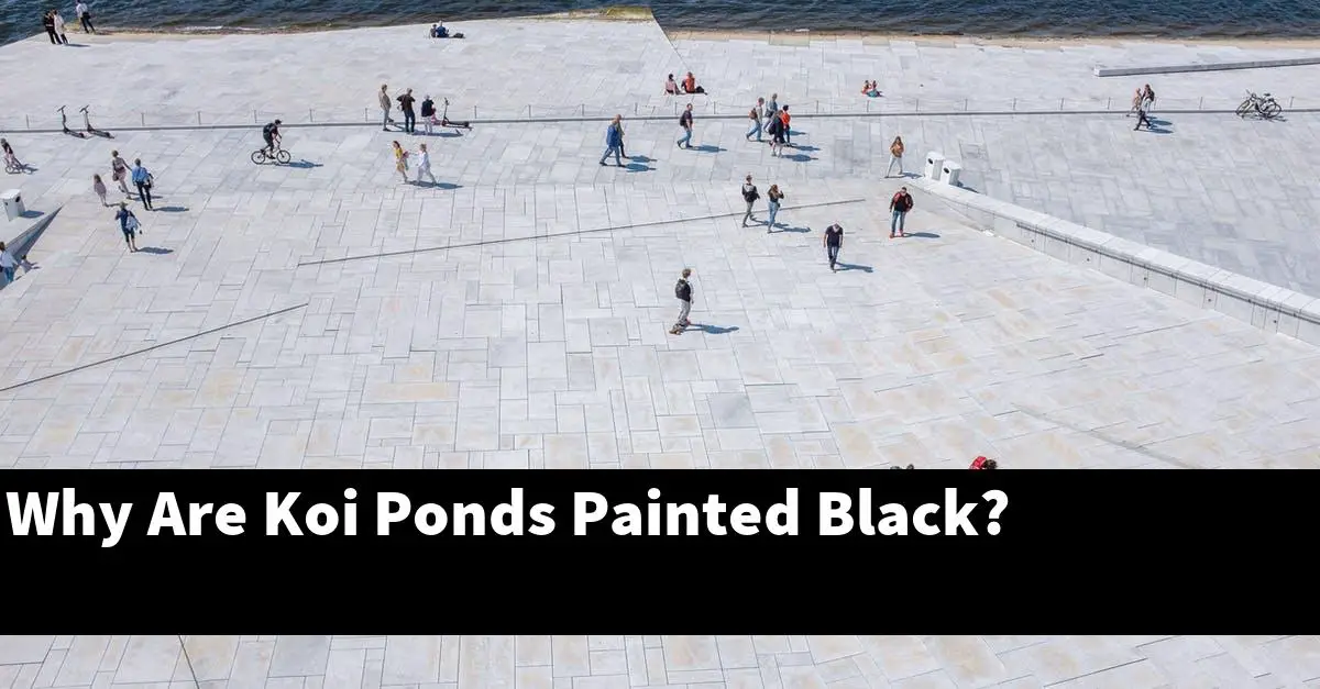 Why Are Koi Ponds Painted Black?