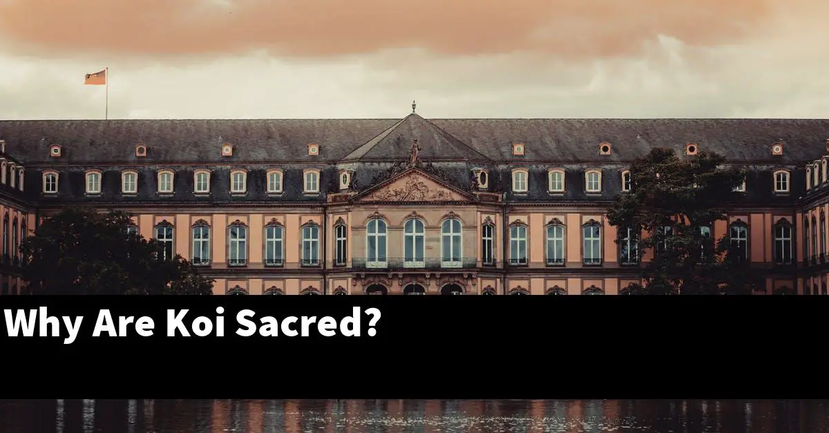 Why Are Koi Sacred?