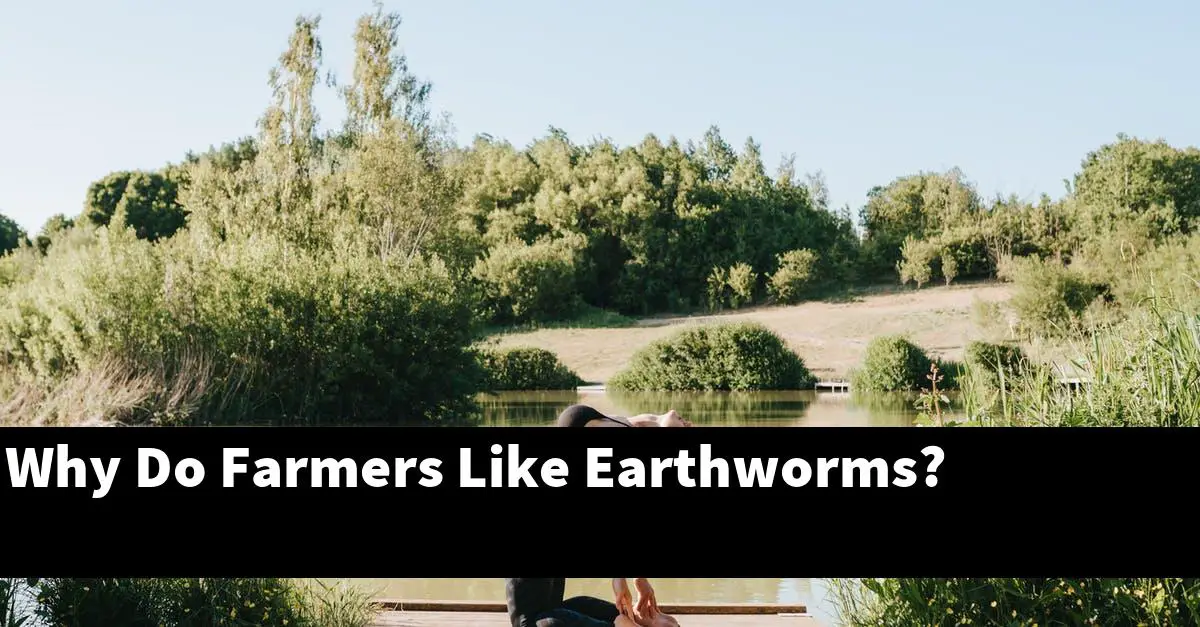 Why Do Farmers Like Earthworms?