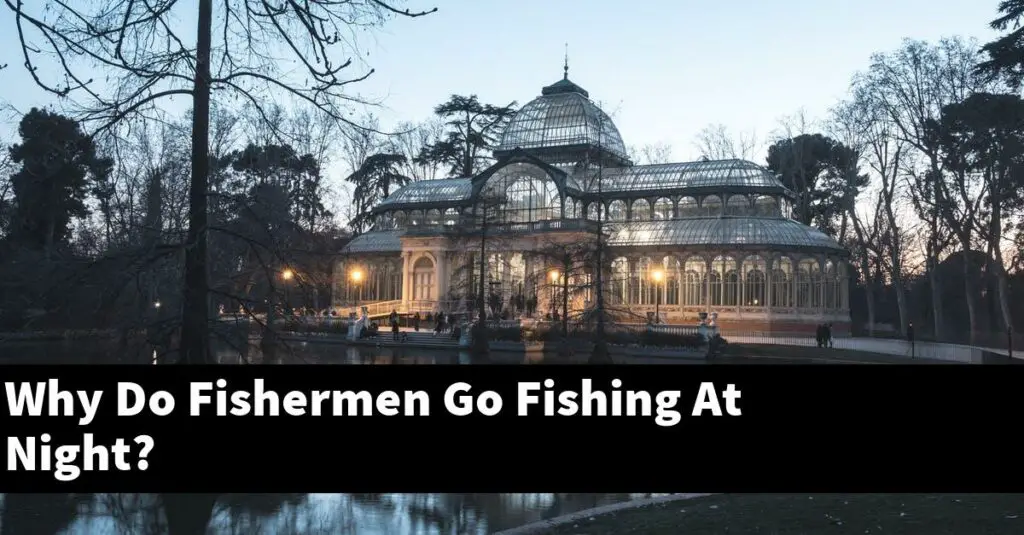 Why Do Fishermen Go Fishing At Night? [2024 Guide] Gold Koi Fish