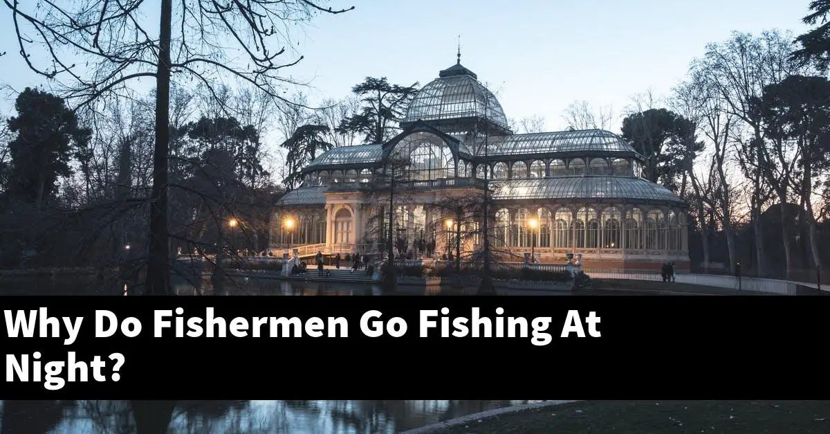 Why Do Fishermen Go Fishing At Night?