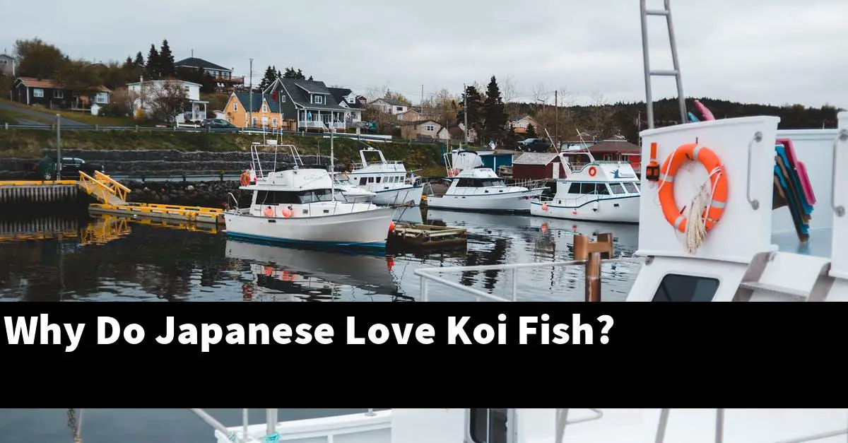 Why Do Japanese Love Koi Fish?