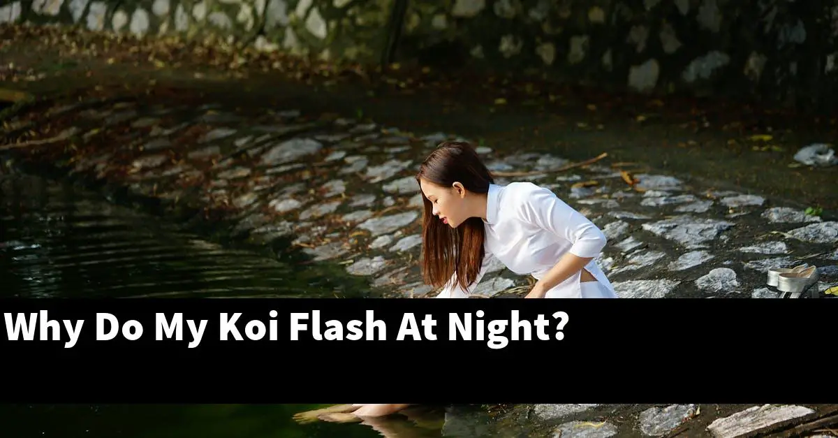 Why Do My Koi Flash At Night?