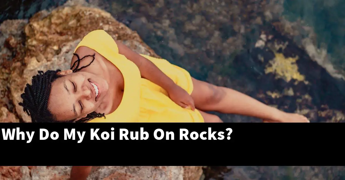 Why Do My Koi Rub On Rocks?