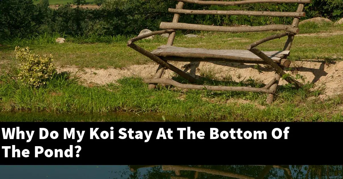 Why Do My Koi Stay At The Bottom Of The Pond?