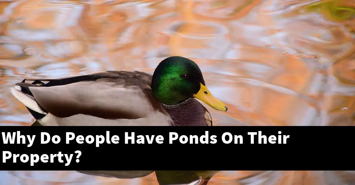 Why Do People Have Ponds On Their Property?
