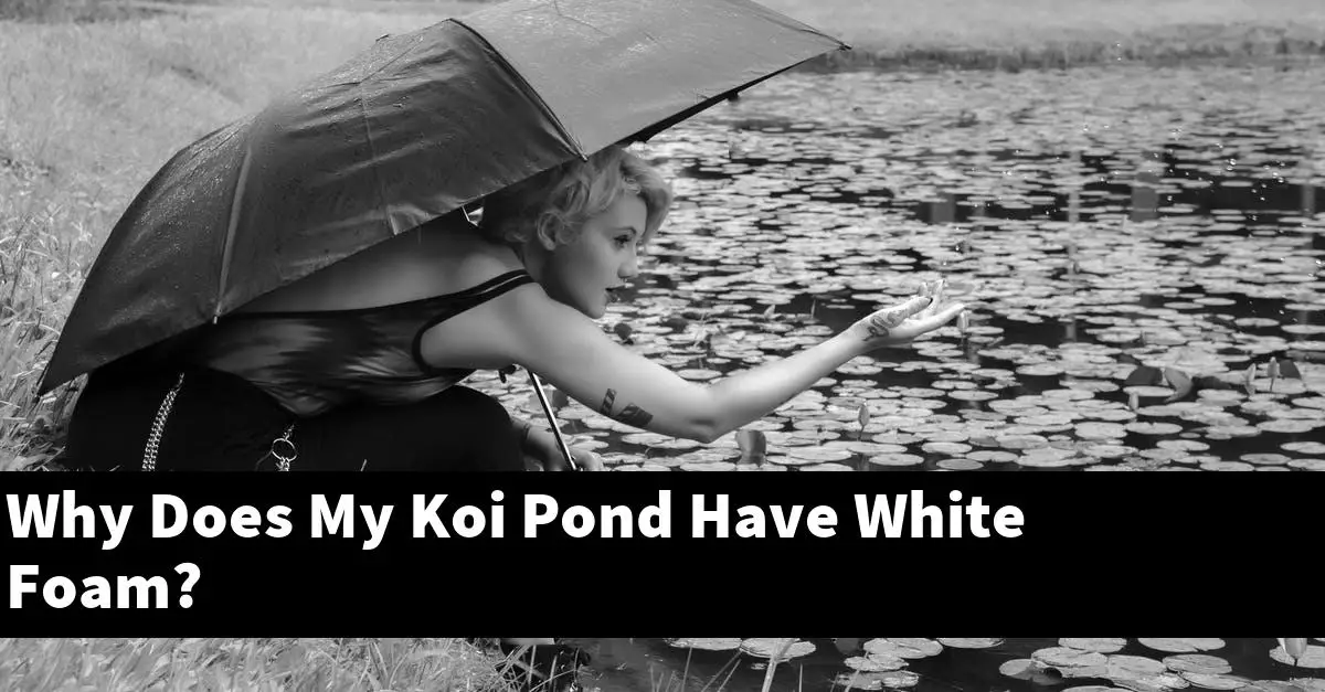 Why Does My Koi Pond Have White Foam?