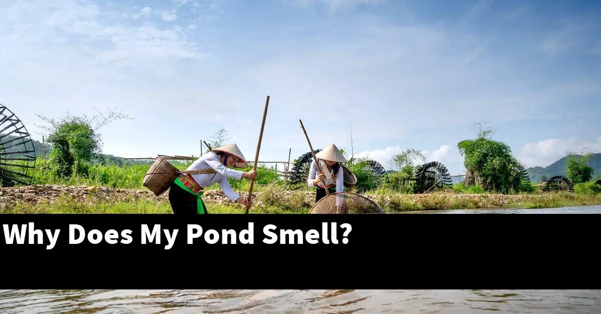 Why Does My Pond Smell?