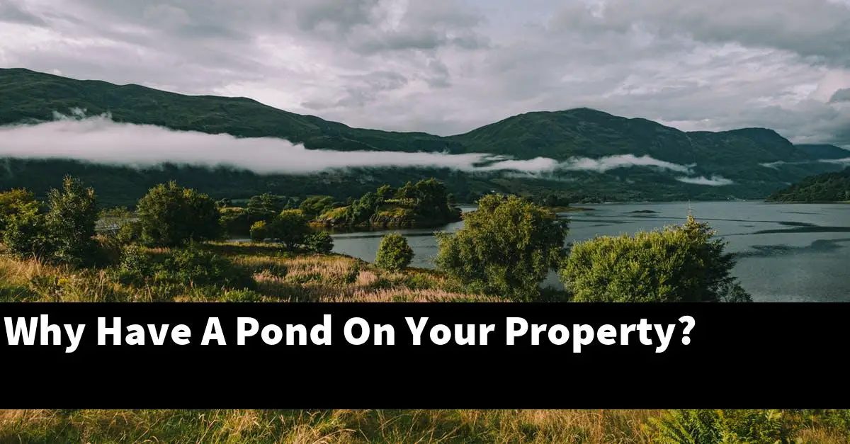 Why Have A Pond On Your Property?