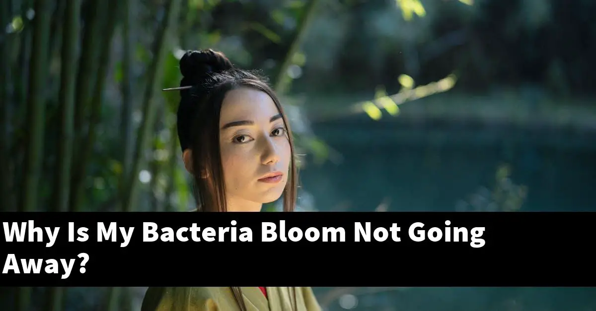 Why Is My Bacteria Bloom Not Going Away?