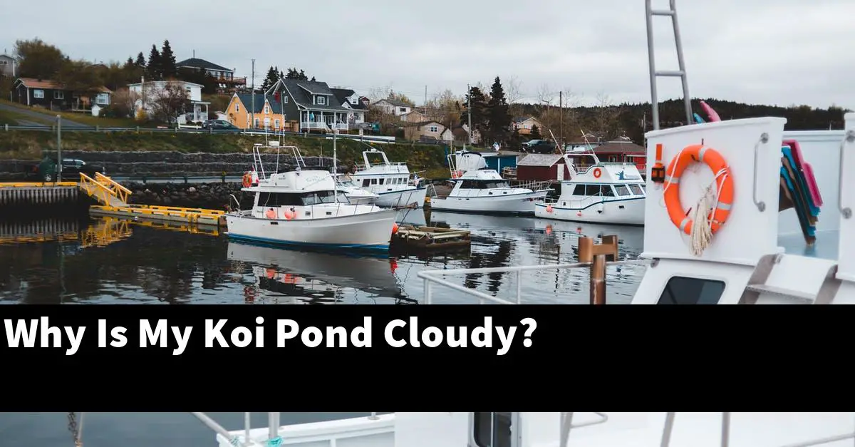 Why Is My Koi Pond Cloudy?