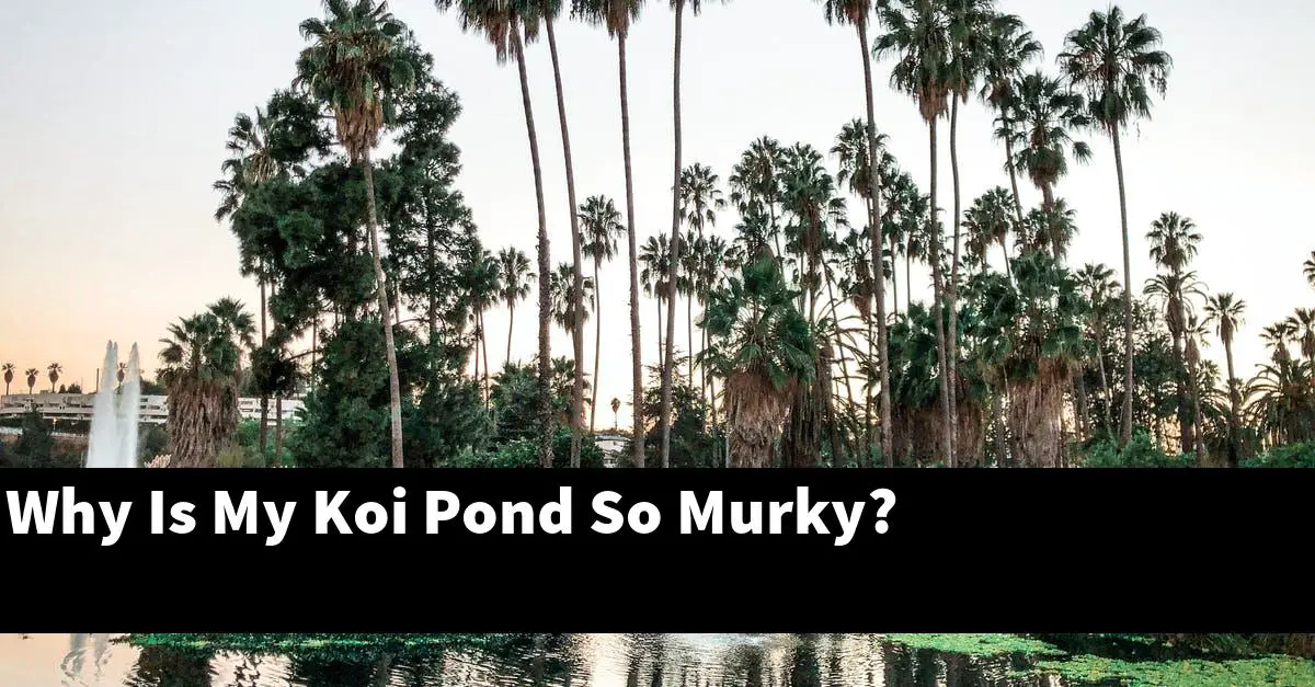 Why Is My Koi Pond So Murky?