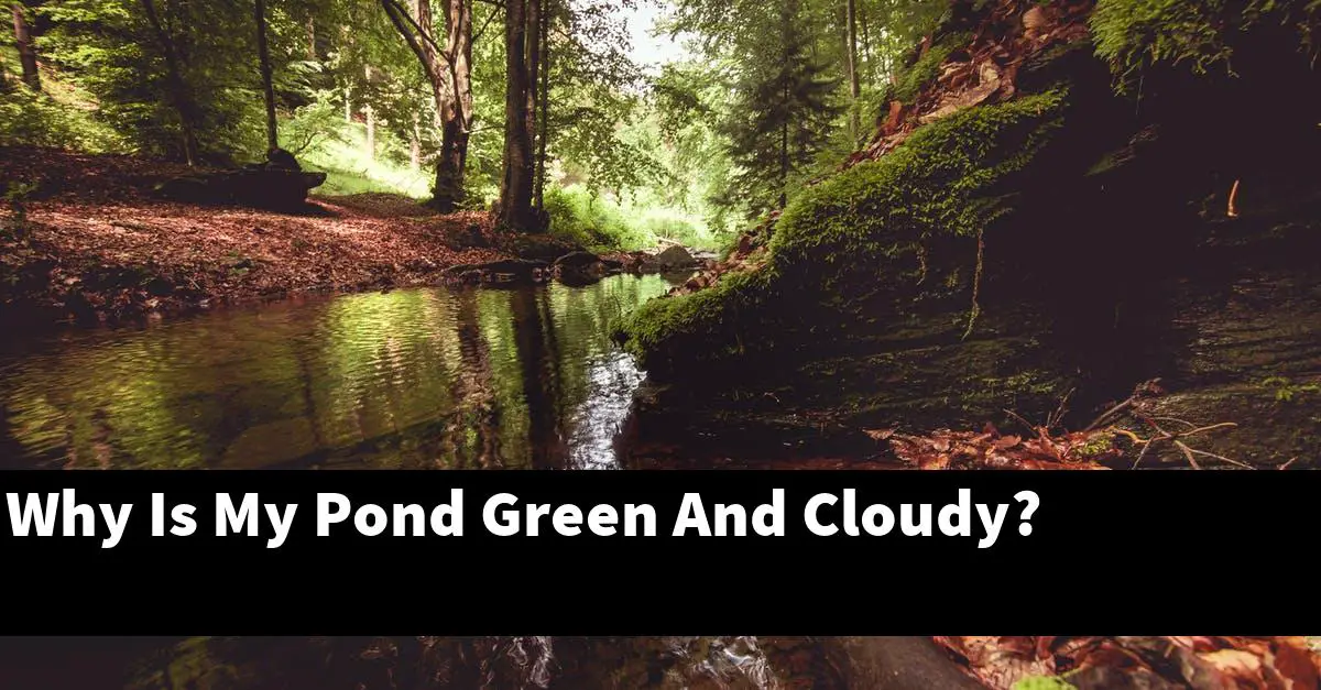 Why Is My Pond Green And Cloudy?