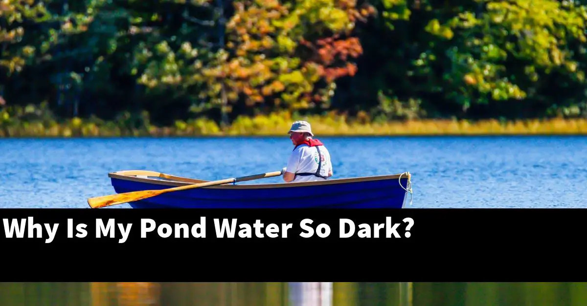 Why Is My Pond Water So Dark?