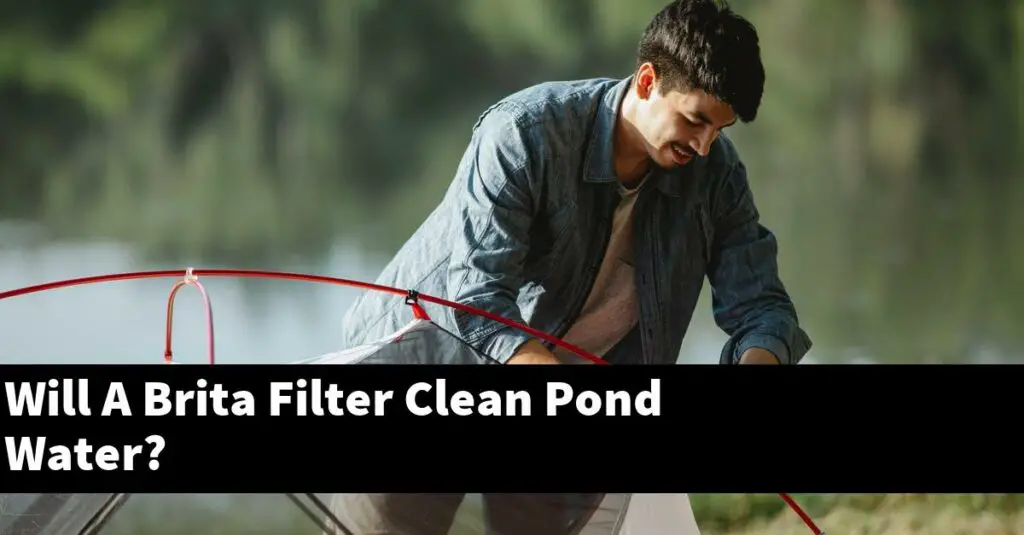 Will A Brita Filter Clean Pond Water? [2024 Guide] Gold Koi Fish