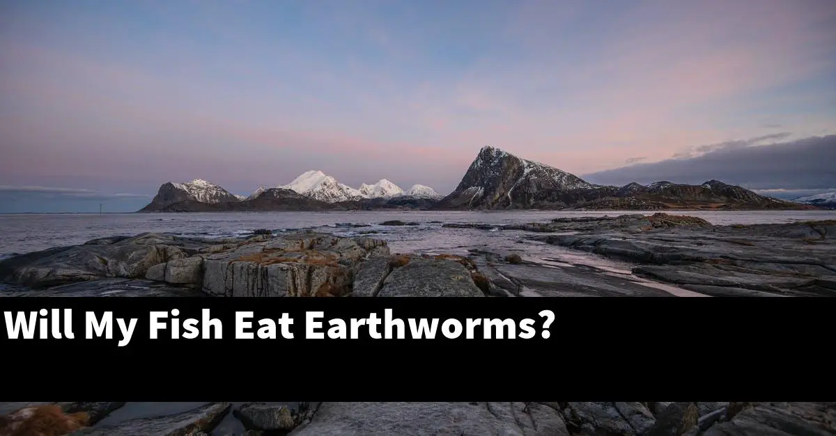 Will My Fish Eat Earthworms?