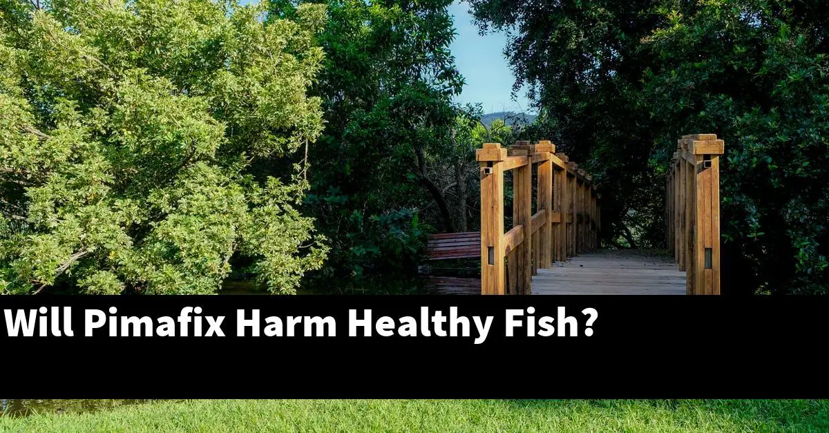Will Pimafix Harm Healthy Fish?