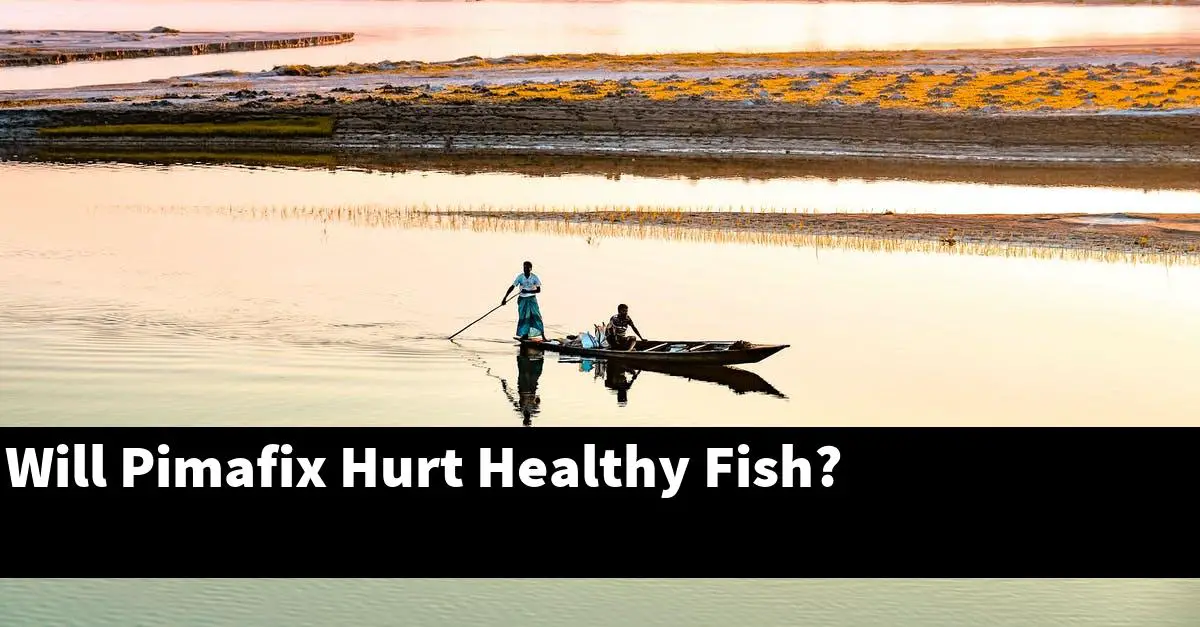 Will Pimafix Hurt Healthy Fish?